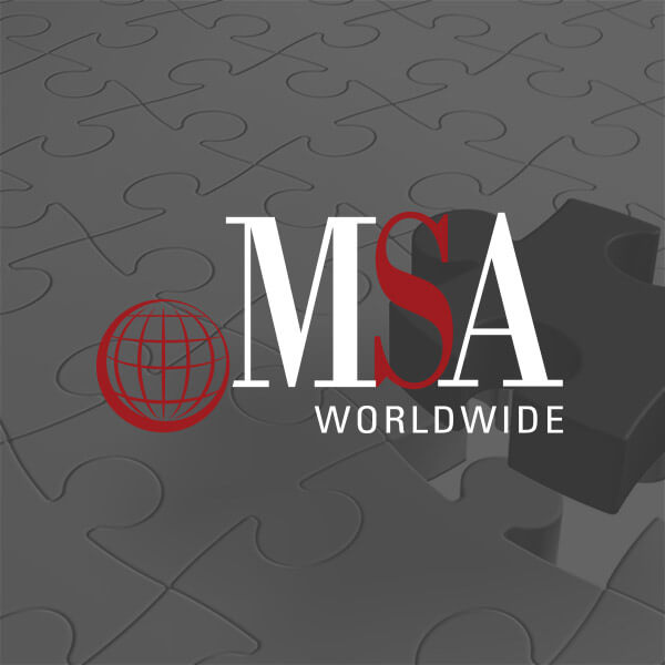 MSA Worldwide Portfolio