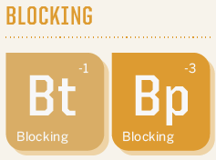 SEO Ranking Factors - Blocking