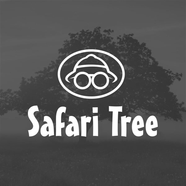 Safari Tree Portfolio