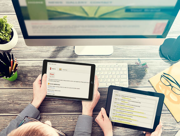 website audit page reports