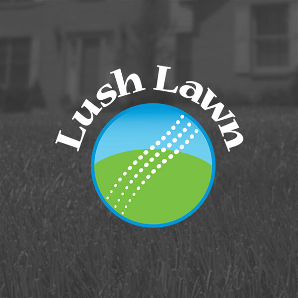 Lush Lawn Portfolio